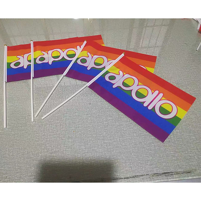 Drapeau Pride Rainbow Flag Small Mini tenu dans la main de YaoYang LGBT