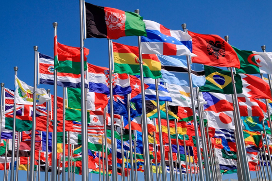 Merveilleux tout le matériel du polyester 100 des drapeaux de pays du monde 3X5FT