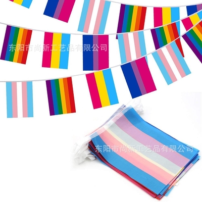 Drapeau fait sur commande Pride Triangle Flag gai lesbien de Logo Polyester LGBT